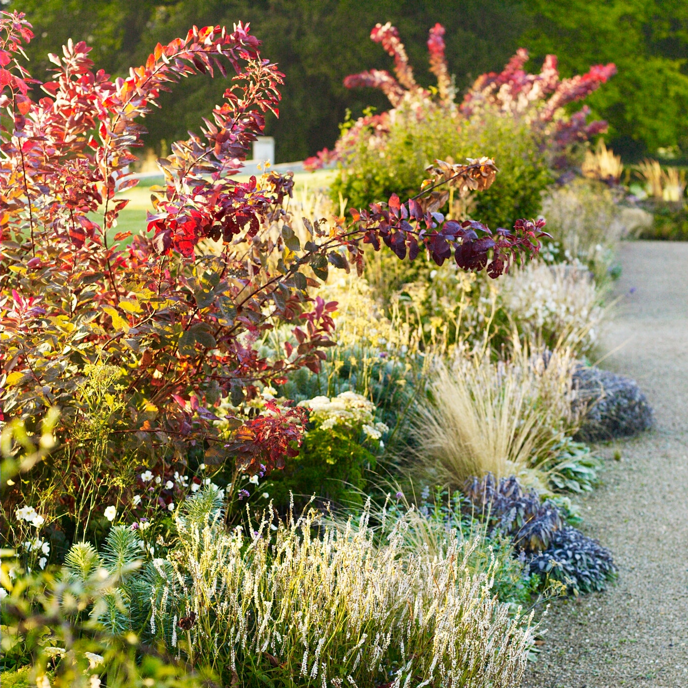 What to do in your garden in October