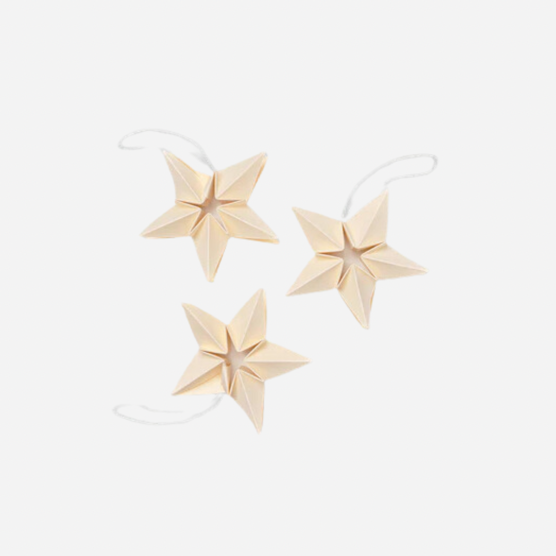 Image may contain: Star Symbol, Symbol, Paper, Accessories, Earring, and Jewelry