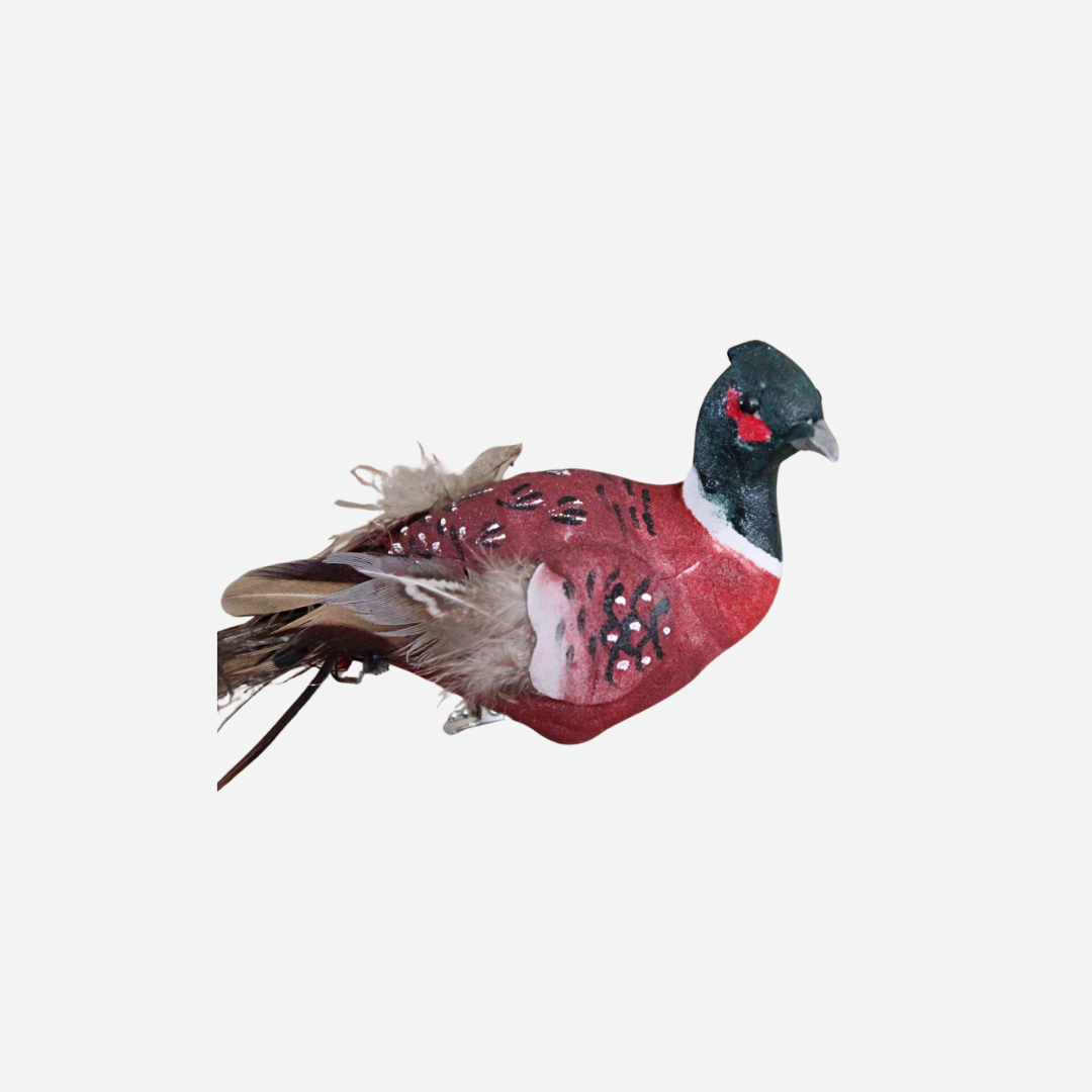 Image may contain: Animal, Bird, Beak, and Pheasant
