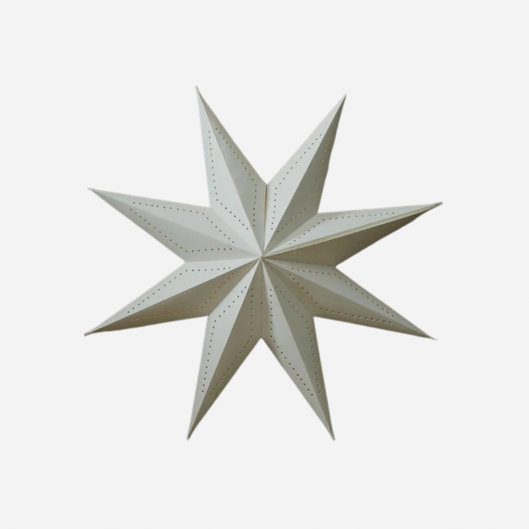 Image may contain: Star Symbol, Symbol, Aircraft, Airplane, Transportation, and Vehicle