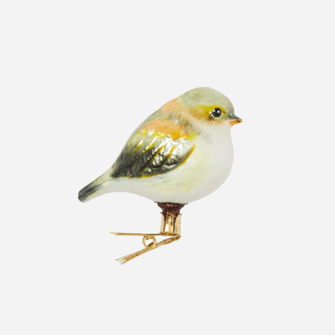 Image may contain: Animal, Bird, Finch, and Canary